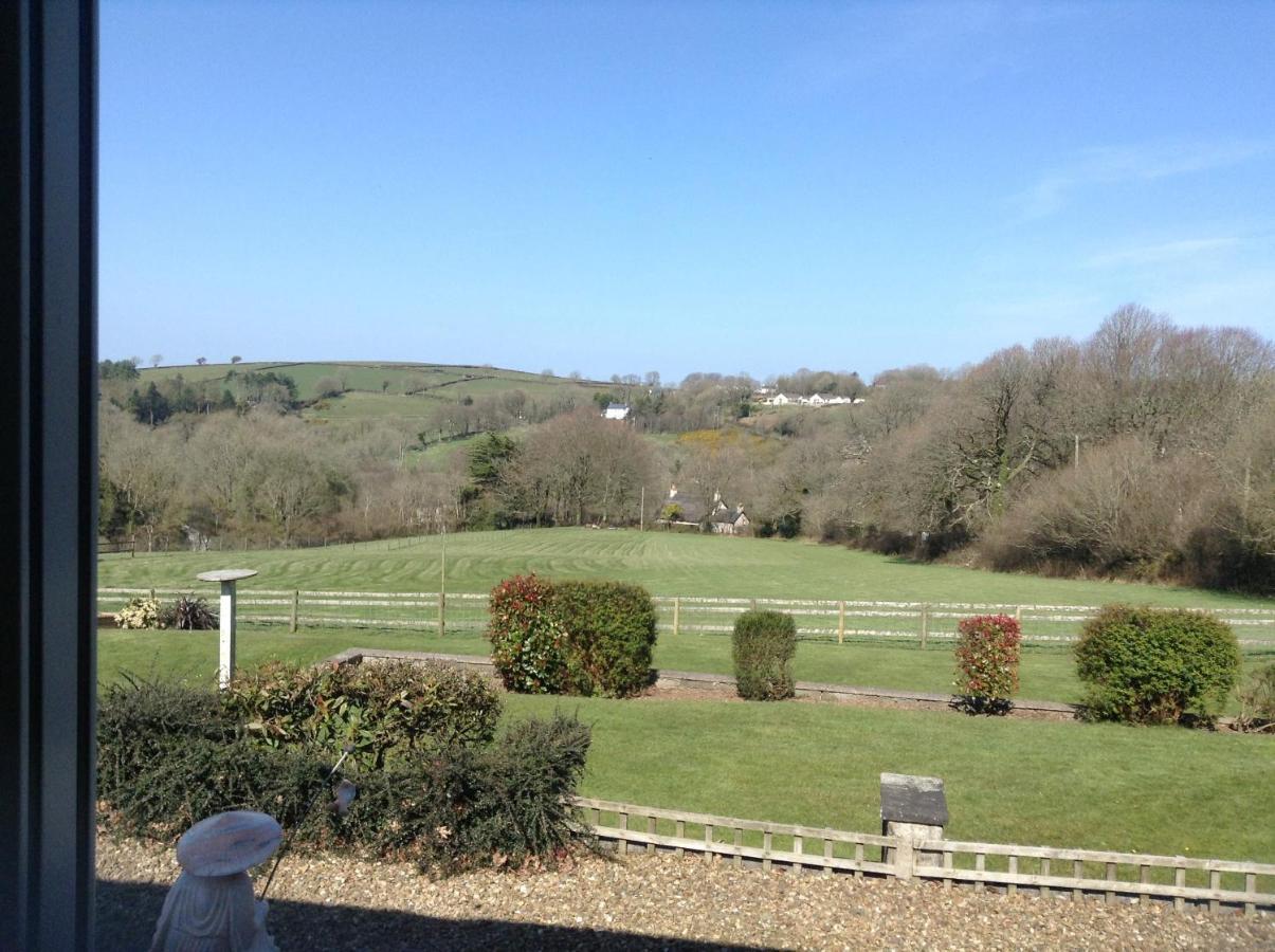 3 Bed Cottage With Hot Tub & Near New Quay Wales Llandysul Buitenkant foto